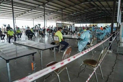 新規(guī) 工廠企業(yè)須在9月10日前對員工進行2次檢測