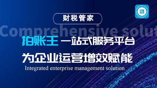 拍賬王 備受矚目的互聯網財稅服務品牌